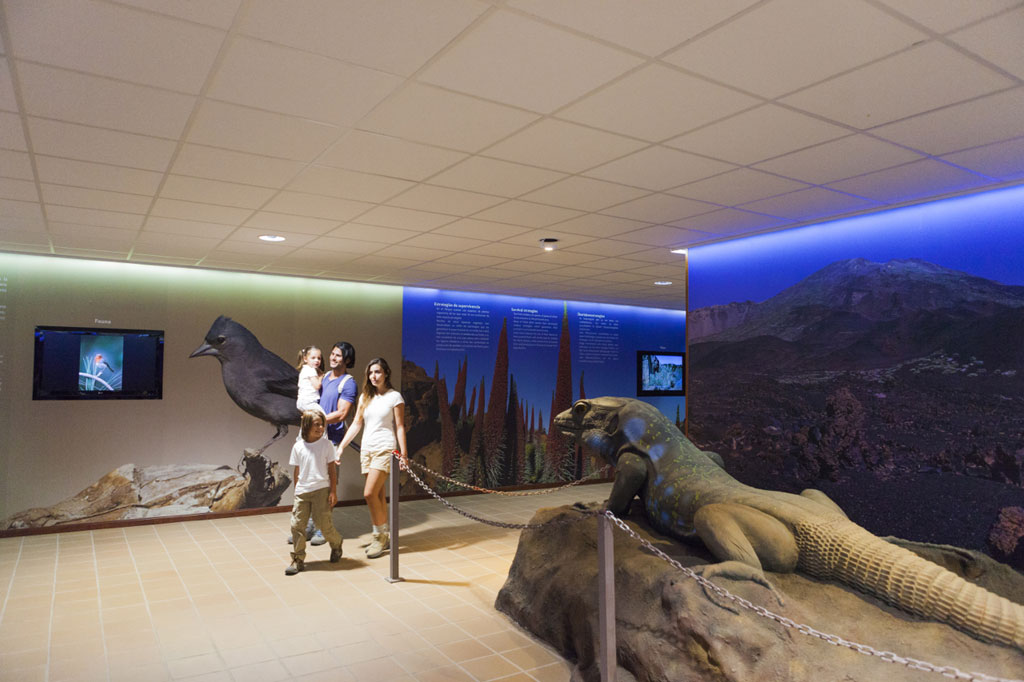 13-centro-visitantes-parque-nacional-teide-fauna-familia.jpg