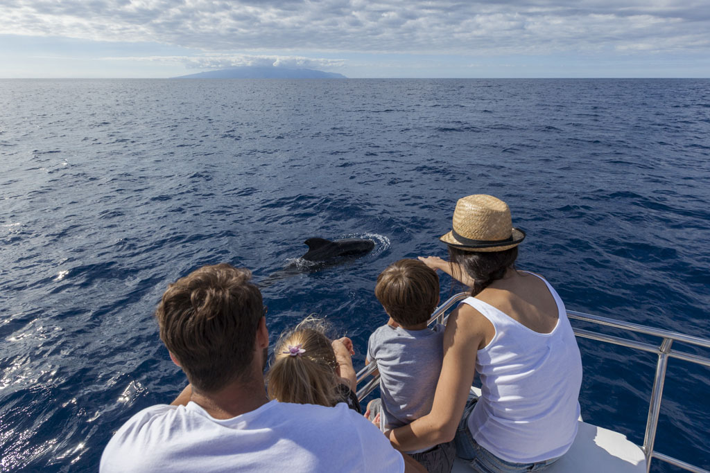 17-avistamiento-cetaceos-familia.jpg