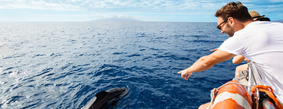 Santuario de las ballenas