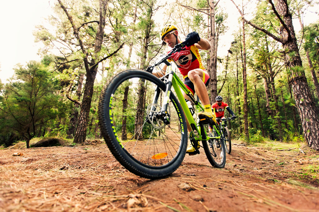Fietsers in het bos van La Esperanza, Tenerife, mountainbiken.