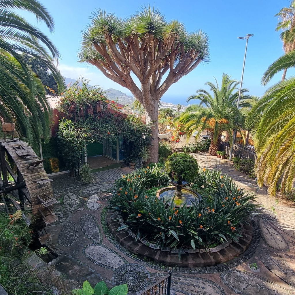Tuin met drakenboom en palmbomen in La Orotava, Tenerife.