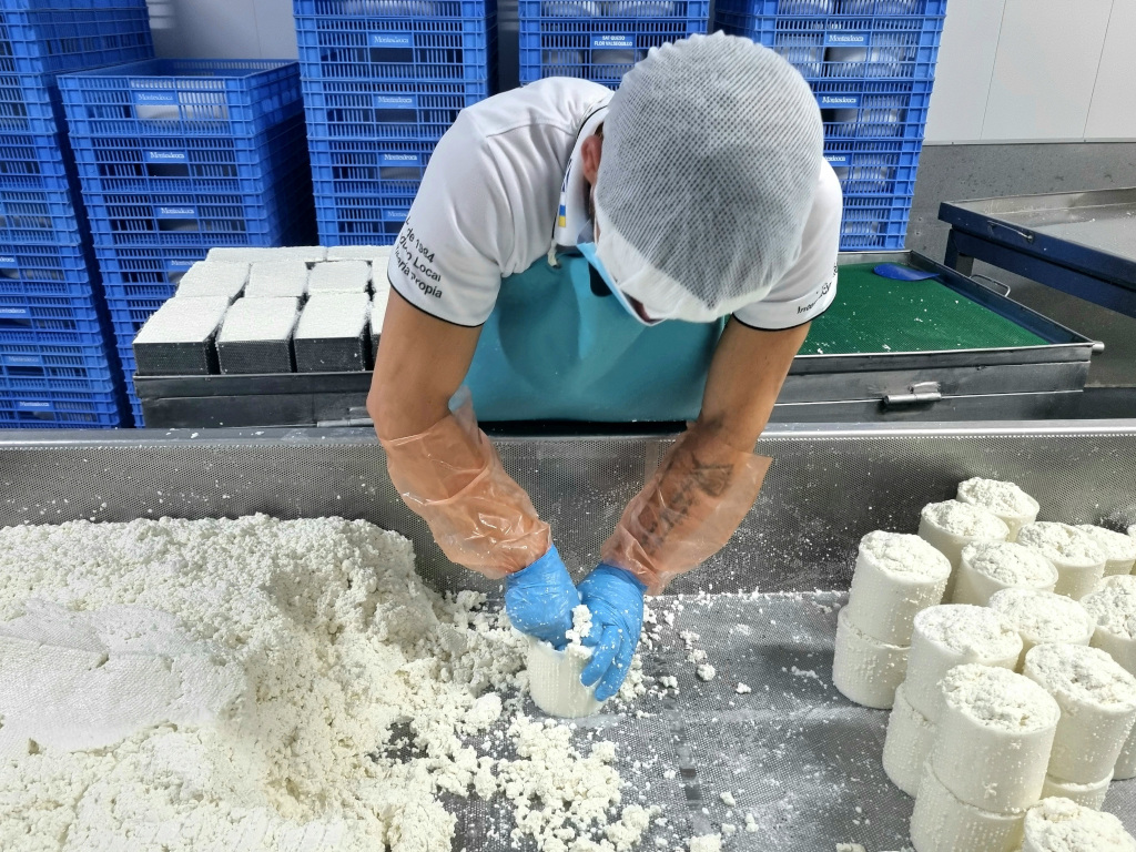 Persoon die verse kaas vormt in een fabriek op Tenerife.