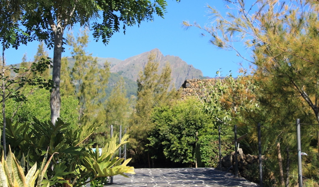Geplaveid pad omringd door bomen met een berg op de achtergrond op Tenerife.