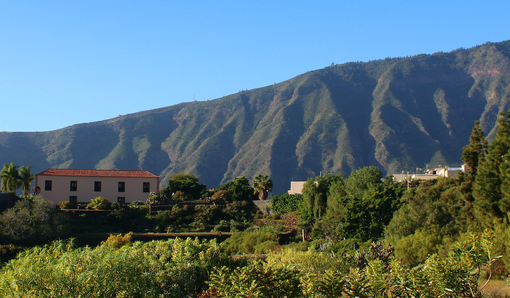 Bergachtig landschap en vegetatie in La Orotava, Tenerife.
