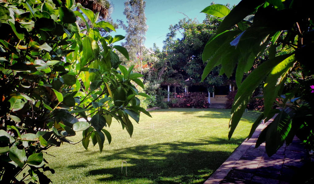 Tuin met gazon en bomen in een park op Tenerife.