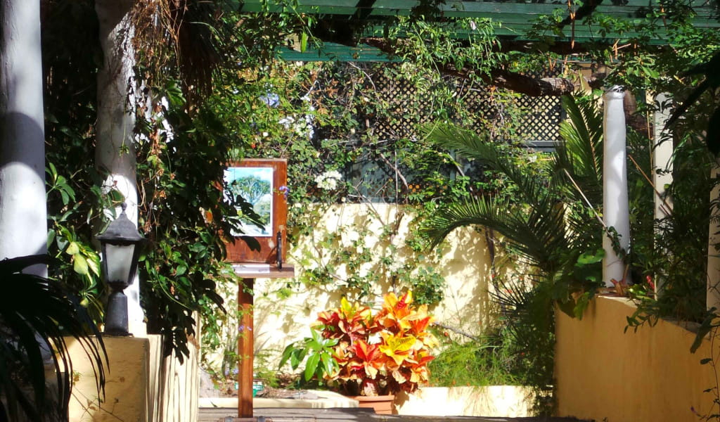 Patio met planten en schilderingen in de Botanische Tuin van Tenerife.