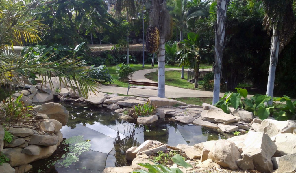 Tropische tuinen met vijver en paden in Puerto de la Cruz, Tenerife.