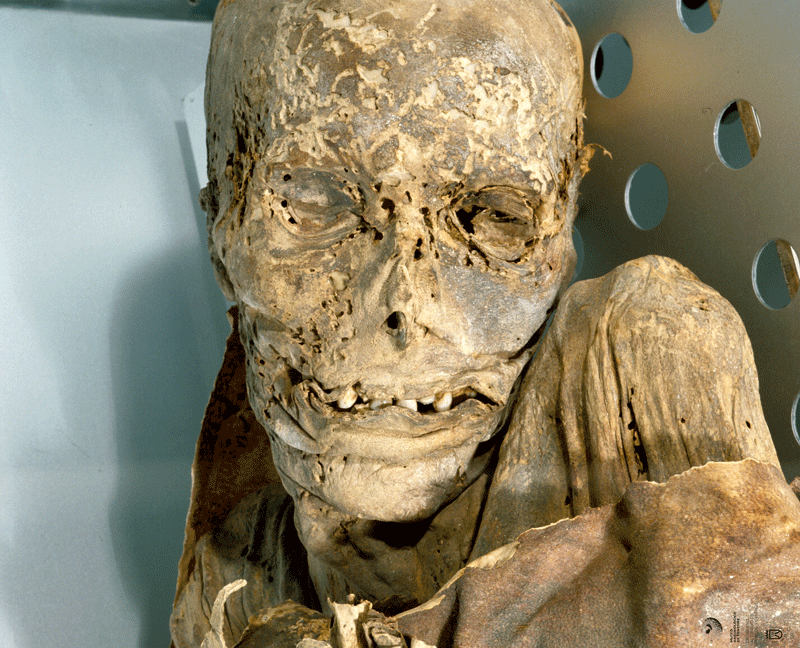 Guanche-mummie in een museum op Tenerife met zichtbare details op het gezicht en lichaam bewaard gehouden.