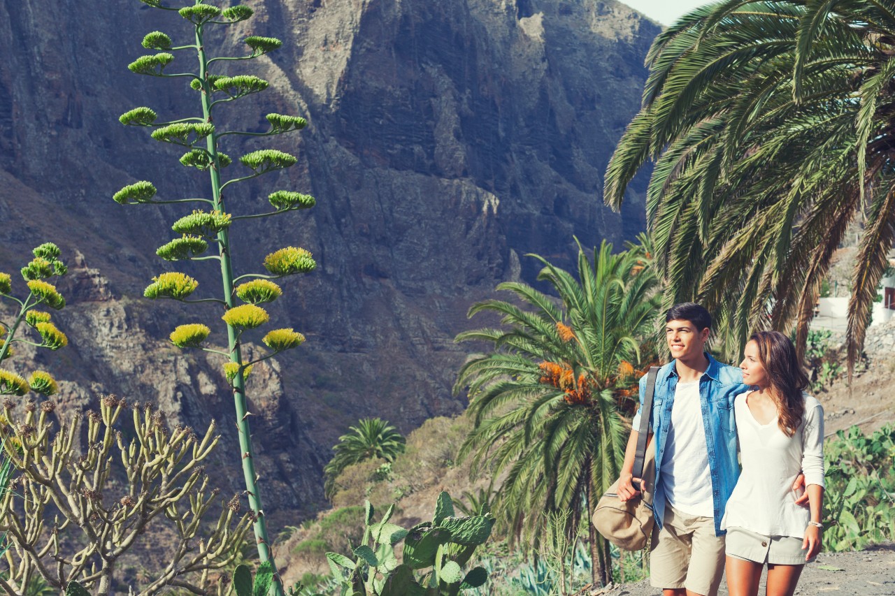Stel wandelen op het pad omringd door palmbomen en cactussen op Tenerife.