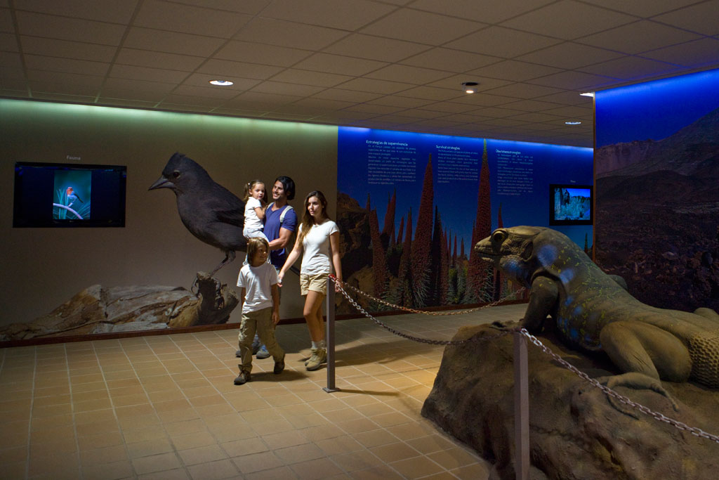 Familie tentoongesteld in het Teide Nationaal Park met afbeeldingen van de lokale fauna.