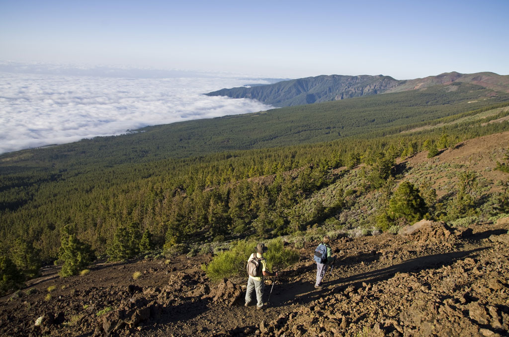 Wandelaars in het bospark, Tenerife, met uitzicht op de bergen en de zee van wolken.