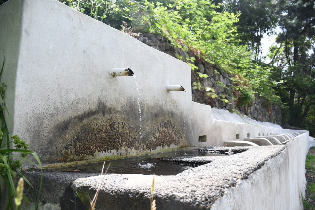Waterfontein op het platteland in La Laguna, Tenerife, omgeven door groen.