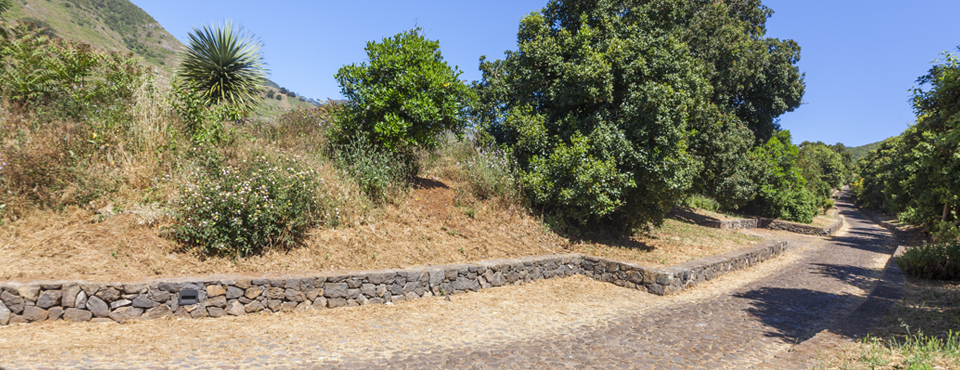 Camino de Los Laureles