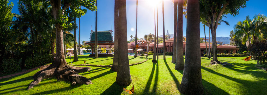 Tuin met palmbomen en een gebouw in een park op Tenerife in de zon.